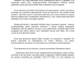 Как поступить при встрече с бродячими собаками_page-0001.jpg